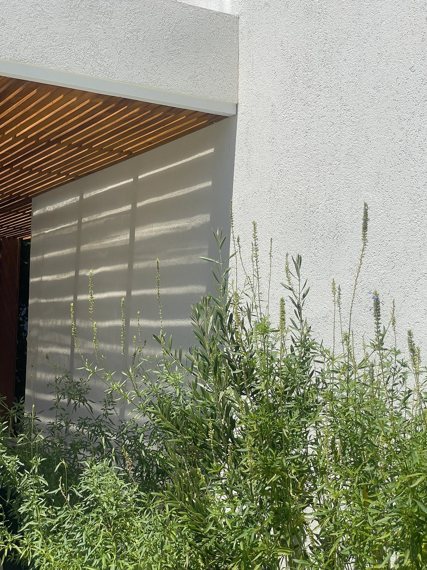 Casa Loly & Mata — Barrio El Encuentro, obra de Estudio TIC